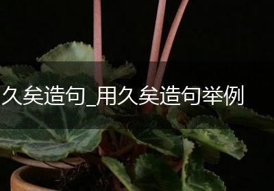 久矣造句_用久矣造句举例