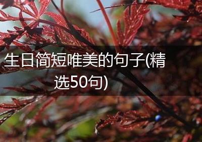 生日简短唯美的句子(精选50句)