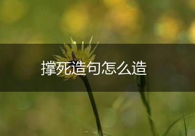 撑死造句怎么造