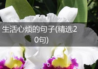 生活心烦的句子(精选20句)