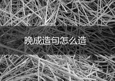 晚成造句怎么造