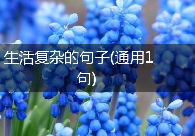 生活复杂的句子(通用1句)