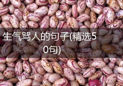 生气骂人的句子(精选50句)