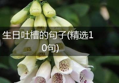 生日吐槽的句子(精选10句)