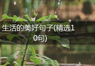 生活的美好句子(精选10句)