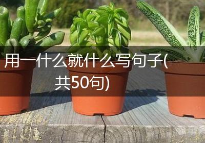用一什么就什么写句子(共50句)