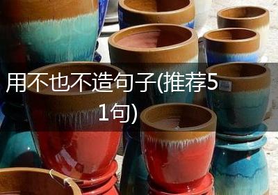 用不也不造句子(推荐51句)
