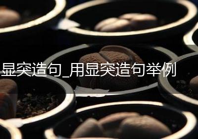 显突造句_用显突造句举例