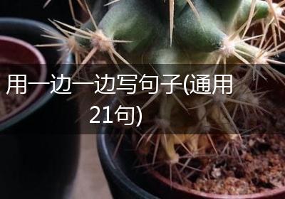 用一边一边写句子(通用21句)