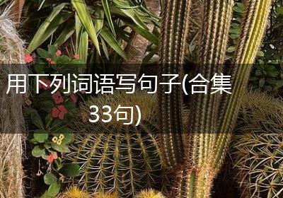 用下列词语写句子(合集33句)