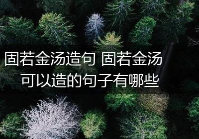 固若金汤造句 固若金汤可以造的句子有哪些