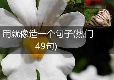 用就像造一个句子(热门49句)