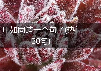 用如同造一个句子(热门20句)