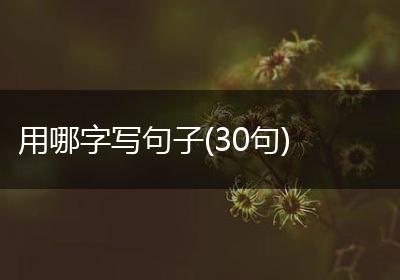 用哪字写句子(30句)