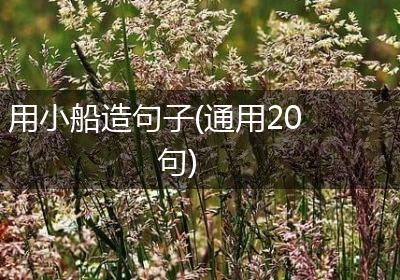 用小船造句子(通用20句)