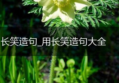 长笑造句_用长笑造句大全