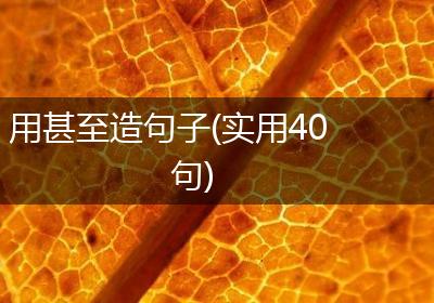 用甚至造句子(实用40句)