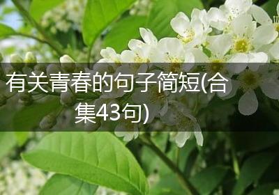 有关青春的句子简短(合集43句)