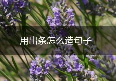 用出条怎么造句子