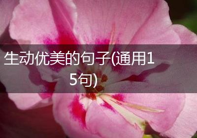 生动优美的句子(通用15句)