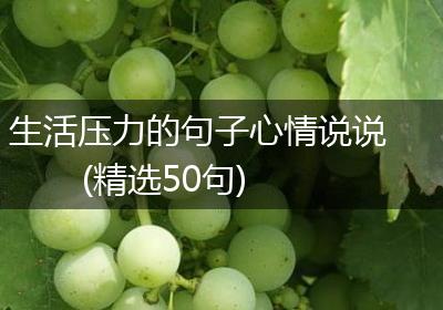 生活压力的句子心情说说(精选50句)
