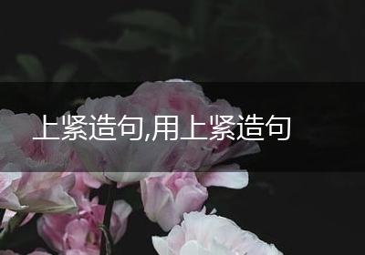 上紧造句,用上紧造句