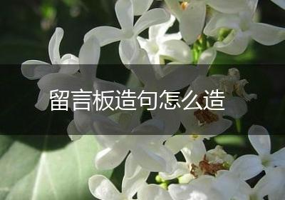 留言板造句怎么造