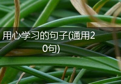 用心学习的句子(通用20句)