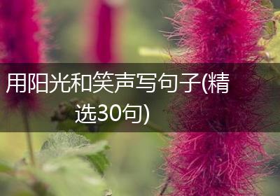 用阳光和笑声写句子(精选30句)
