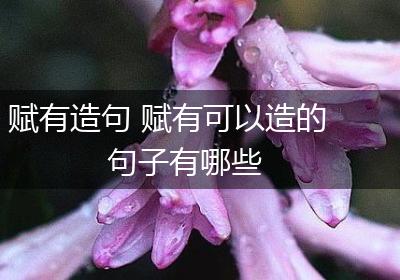 赋有造句 赋有可以造的句子有哪些