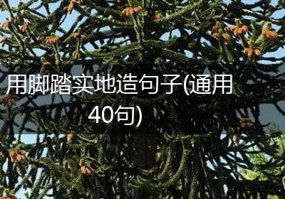 用脚踏实地造句子(通用40句)