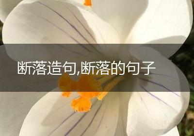 断落造句,断落的句子