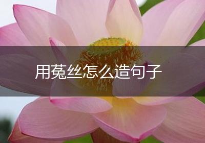 用菟丝怎么造句子