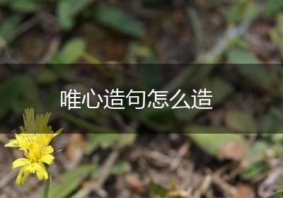唯心造句怎么造