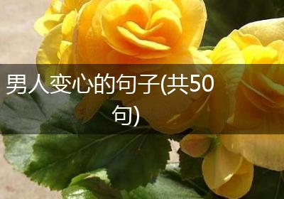 男人变心的句子(共50句)