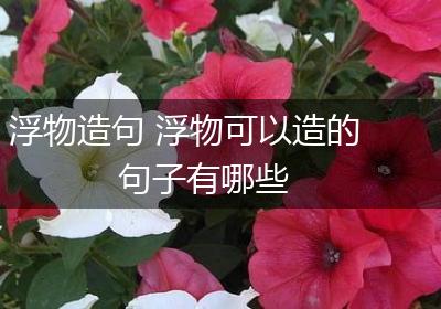 浮物造句 浮物可以造的句子有哪些