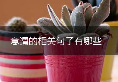 意谓的相关句子有哪些