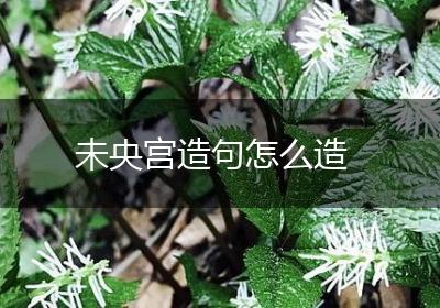 未央宫造句怎么造