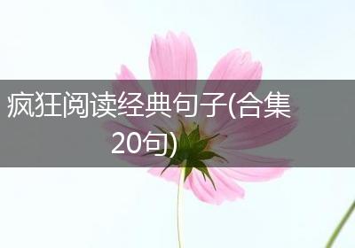 疯狂阅读经典句子(合集20句)