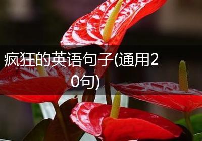 疯狂的英语句子(通用20句)