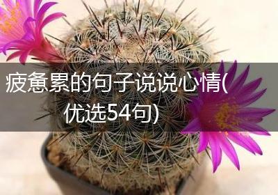 疲惫累的句子说说心情(优选54句)