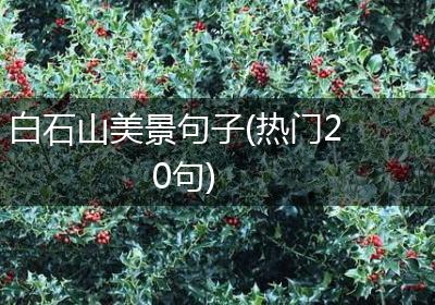白石山美景句子(热门20句)