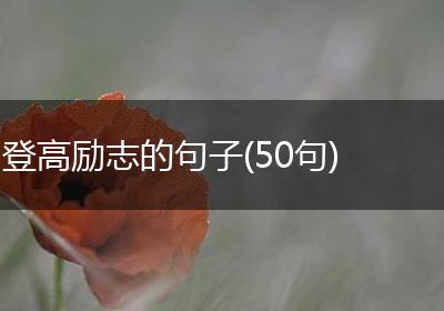 登高励志的句子(50句)