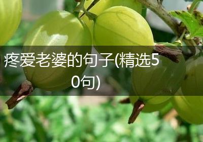 疼爱老婆的句子(精选50句)