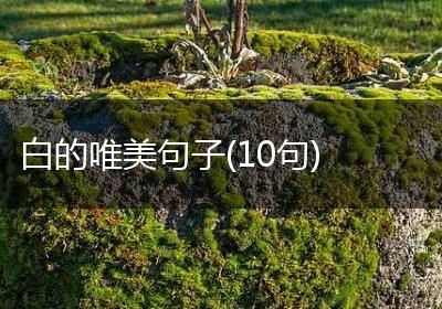 白的唯美句子(10句)