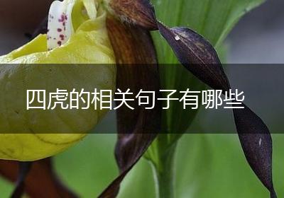四虎的相关句子有哪些