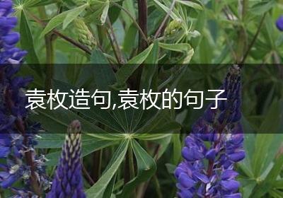 袁枚造句,袁枚的句子