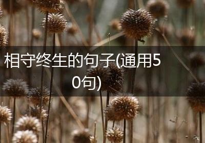 相守终生的句子(通用50句)