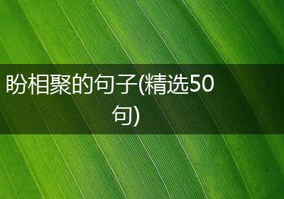 盼相聚的句子(精选50句)