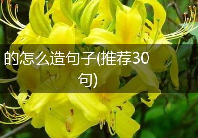 的怎么造句子(推荐30句)